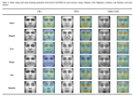 Cross-dataset emotion recognition from facial expressions through convolutional neural networks