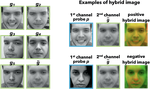 Two-tiered face verification with low-memory footprint for mobile devices