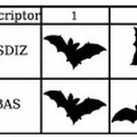 A new shape descriptor based on tensor scale