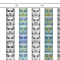 Cross-dataset emotion recognition from facial expressions through convolutional neural networks