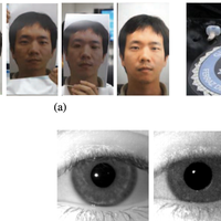 The rise of data-driven models in presentation attack detection